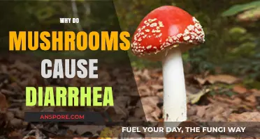 Mushrooms and Diarrhea: Understanding the Connection