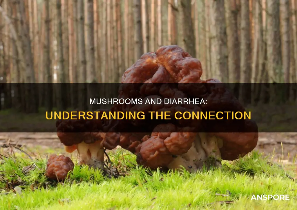 why do mushrooms cause diarrhea