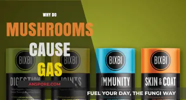 Mushrooms and Gas: The Surprising Truth