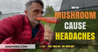 Mushroom Mystery: Headaches and Their Causes