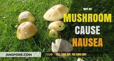 Mushrooms' Dark Side: Nausea's Origin