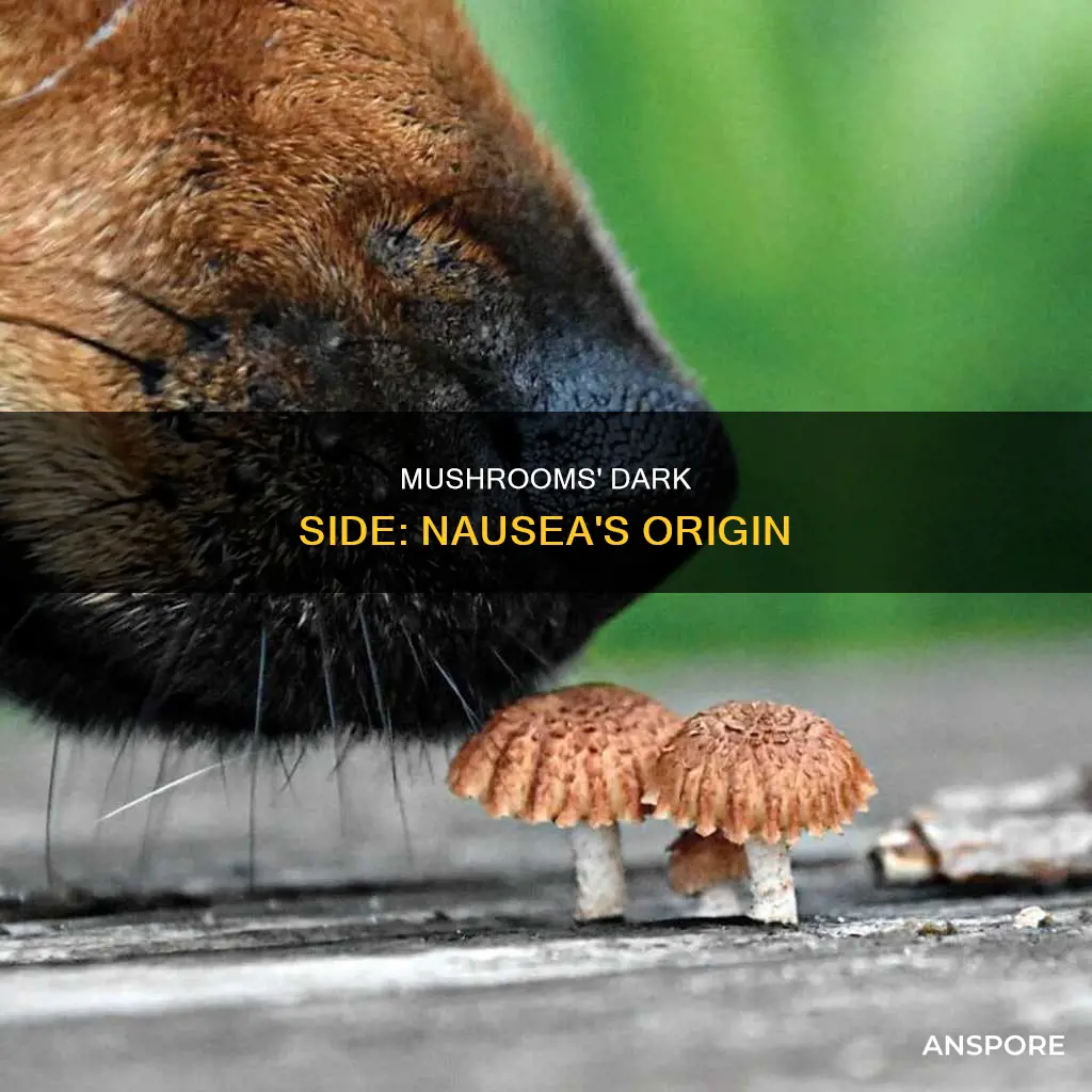 why do mushrooms cause nausea