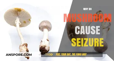 Mushrooms' Dark Side: Seizure-Inducing Toxins