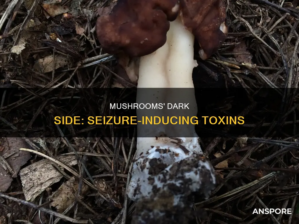 why do mushrooms cause seizure