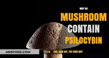 Mushrooms' Magic: Psilocybin's Natural Occurrence