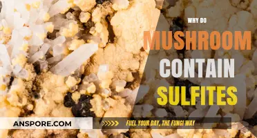 Mushrooms and Sulfites: A Natural Occurrence