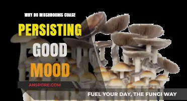 Mushrooms and Mood: Unlocking the Secrets of Lasting Happiness