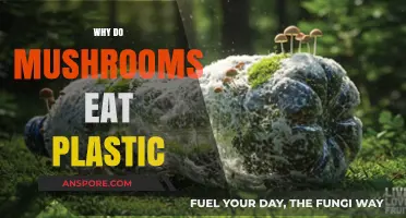 Mushrooms Eating Plastic: Unveiling Nature's Surprising Waste Solution