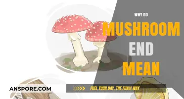 Mushrooms: Nature's Hidden Meanings and Messages