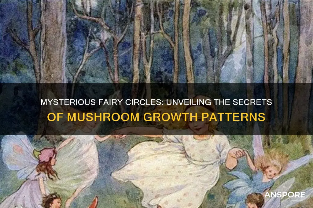 why do mushrooms grow in fairy circles