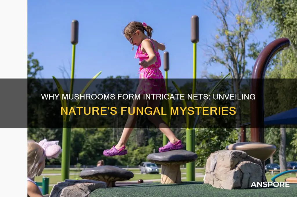why do mushrooms grow nets
