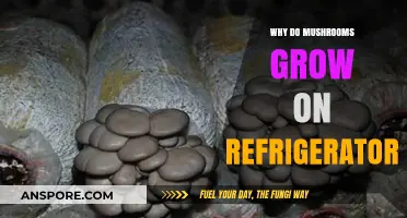 Why Mushrooms Thrive in Your Refrigerator: Uncovering the Surprising Reasons