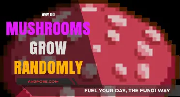 Unpredictable Fungi: Exploring the Random Growth Patterns of Mushrooms