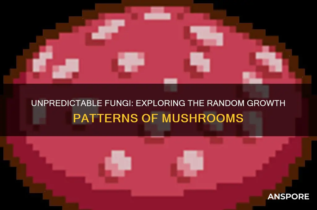 why do mushrooms grow randomly