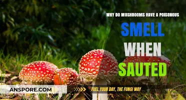 Why Sautéd Mushrooms Emit a Poisonous Smell: Unraveling the Science
