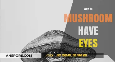 Mushrooms: The Mystery of Their Eyes Unveiled