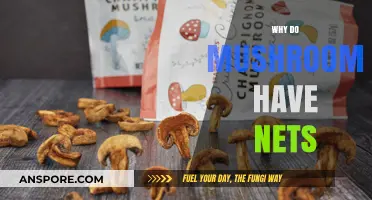 Mushroom Nets: Nature's Intricate Fungal Webs Explained