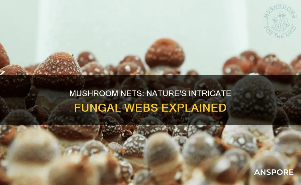 why do mushrooms have nets