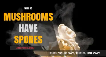 Mushroom Spores: Nature's Way of Propagation