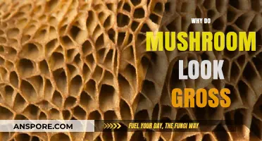 Mushrooms: Nature's Ugly Delicacy