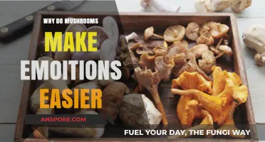 Mushrooms and Mood: Unlocking Emotional Ease Through Fungal Insights