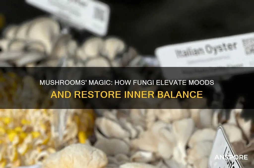 why do mushrooms make everything feel right
