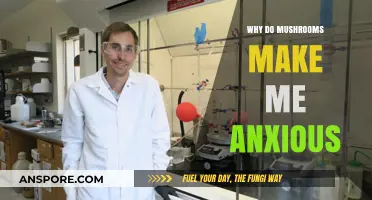 Mushroom-Induced Anxiety: Unraveling the Surprising Connection and Its Causes