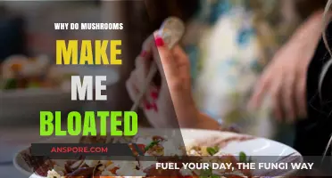 Mushroom Bloating Explained: Causes and Tips for Comfortable Consumption