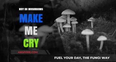 Mushroom Tears: Unraveling the Mystery Behind Emotional Reactions to Fungi