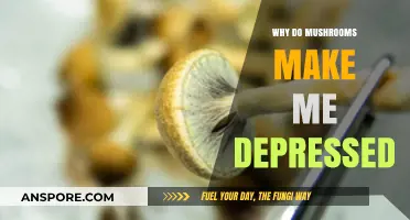 Mushrooms and Mood: Unraveling the Link to Depression Symptoms
