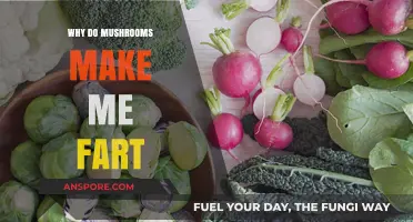 Why Mushrooms Cause Gas: Unraveling the Farty Fungus Mystery
