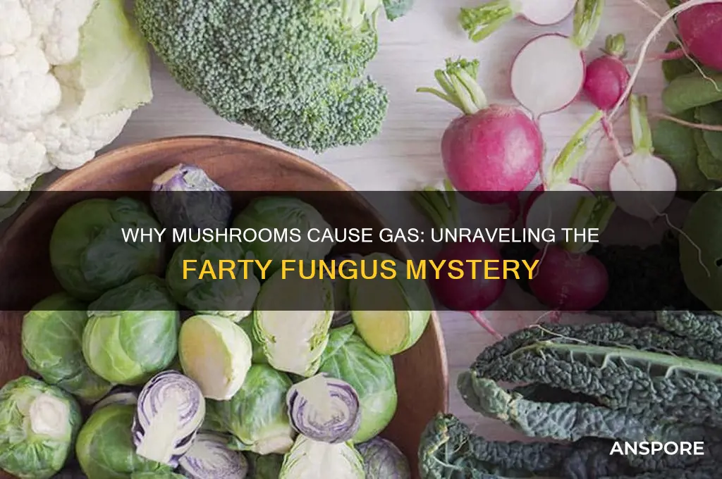 why do mushrooms make me fart