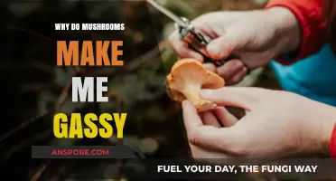 Why Mushrooms Cause Gas: Understanding Digestive Reactions to Fungi