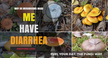 Mushroom Diarrhea Explained: Causes and Tips for Sensitive Stomachs
