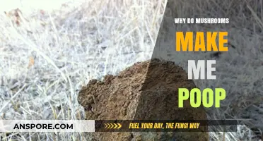 Mushrooms and Digestion: Unraveling the Poop-Inducing Mystery