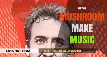 Mushrooms' Musical Mystery: Unveiling Nature's Hidden Sonic Symphony