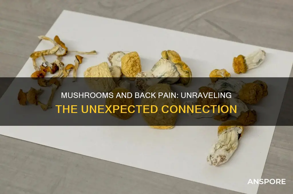 why do mushrooms make my back hurt