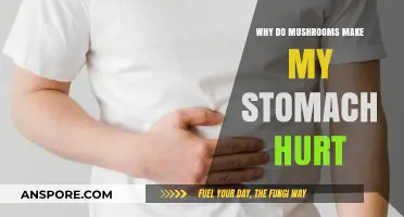 Mushroom Sensitivity: Unraveling Stomach Pain Causes and Solutions