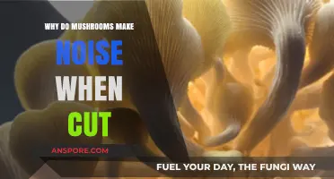 Unveiling the Surprising Sounds of Mushrooms When Cut: A Fungal Mystery
