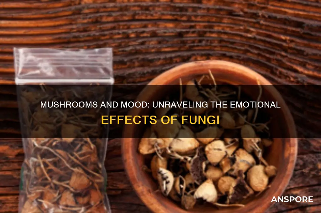 why do mushrooms make you emotional