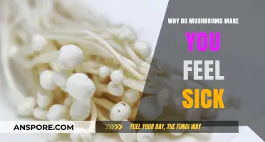 Why Mushrooms Can Cause Nausea: Uncovering the Hidden Culprits