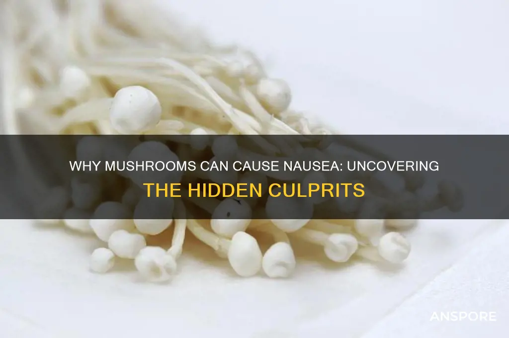 why do mushrooms make you feel sick