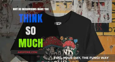 Mushrooms and Mind Expansion: Unveiling the Cognitive Buzz