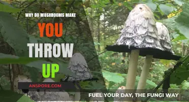 Mushroom Toxicity: Understanding Nausea and Vomiting Causes and Prevention