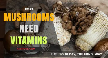 Mushrooms: How Vitamins Influence Their Growth