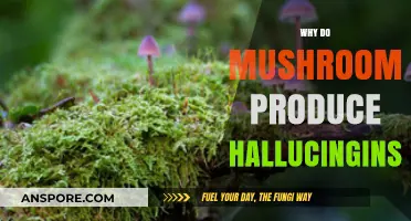 Mushrooms' Magical Mystery: Hallucinogens' Evolution and Purpose