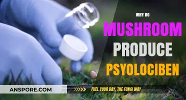 Mushrooms: Hallucinations and the Science Behind It