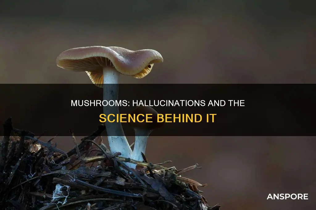 why do mushrooms produce psyolociben
