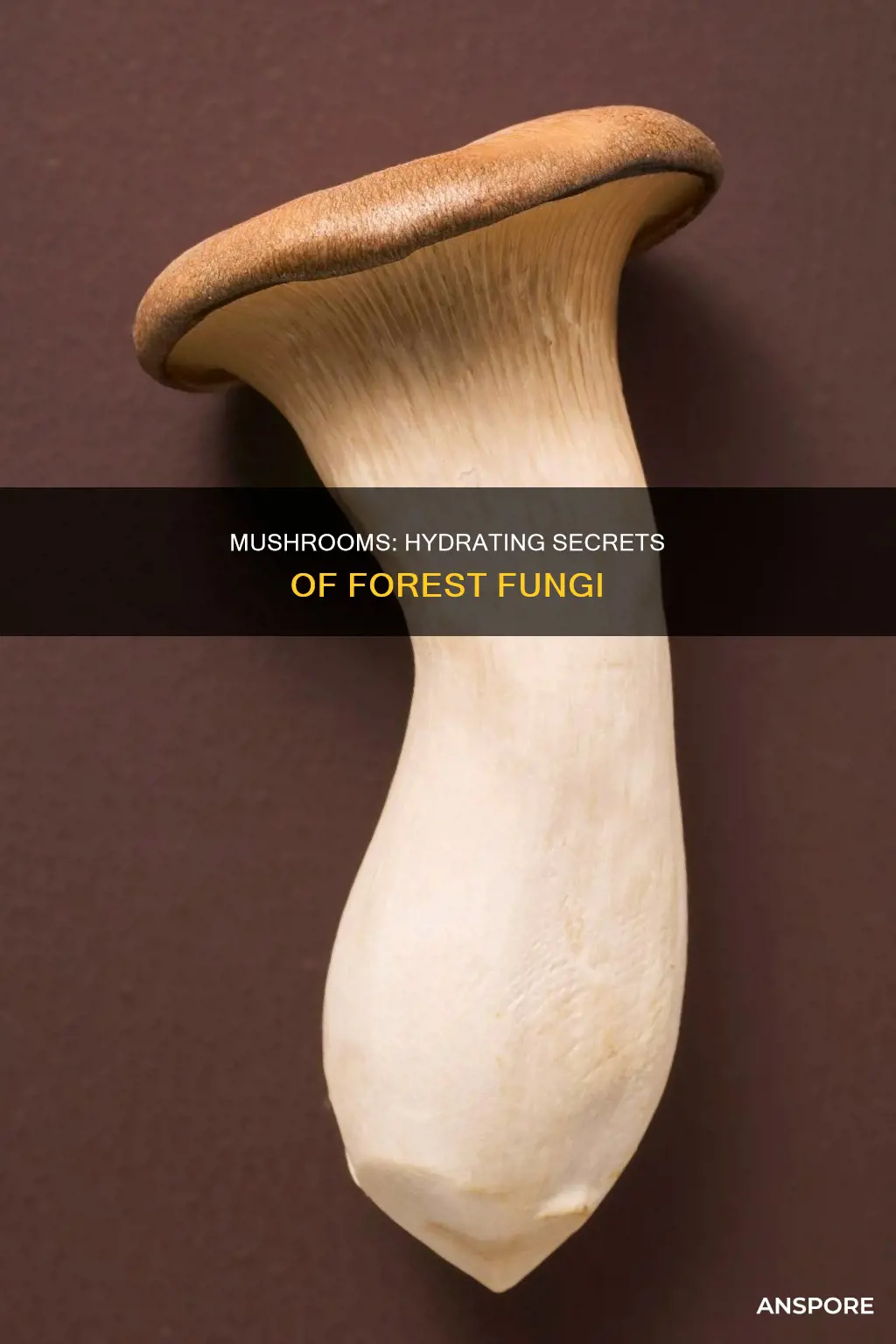 why do mushrooms release water