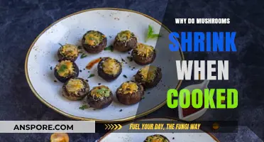 Why Mushrooms Shrink When Cooked: The Science Behind It